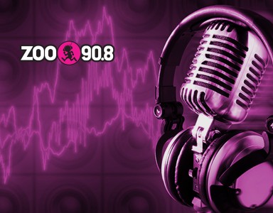 ZOORADIO_MSTAT